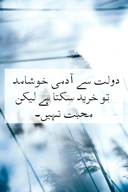 Urdu post