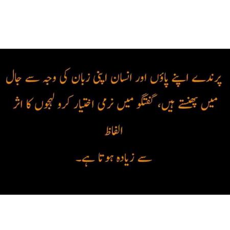 Urdu post