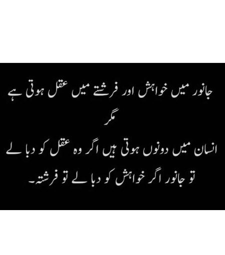 Urdu post