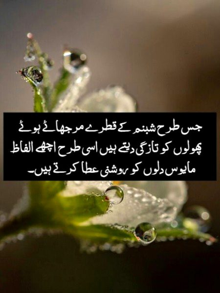 Urdu post