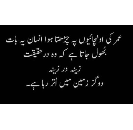 Urdu post