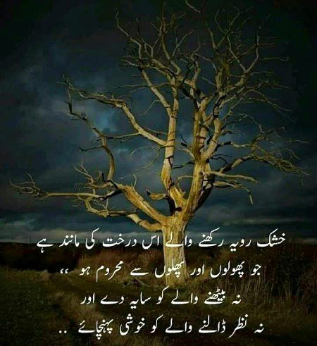 Urdu post