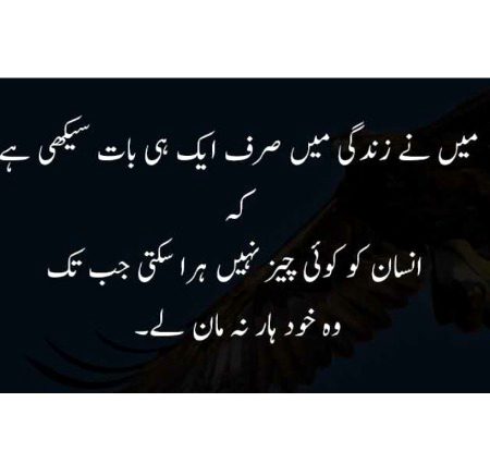 Urdu post