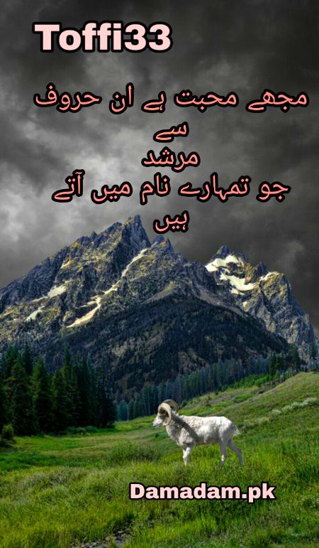 Urdu poetry