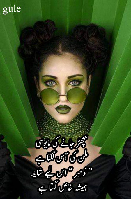 Urdu poetry