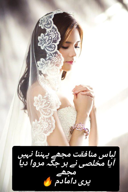 Urdu poetry