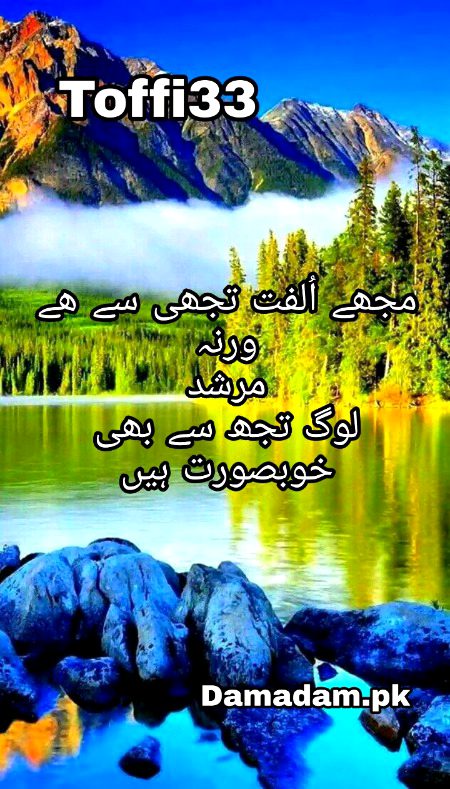 Urdu poetry