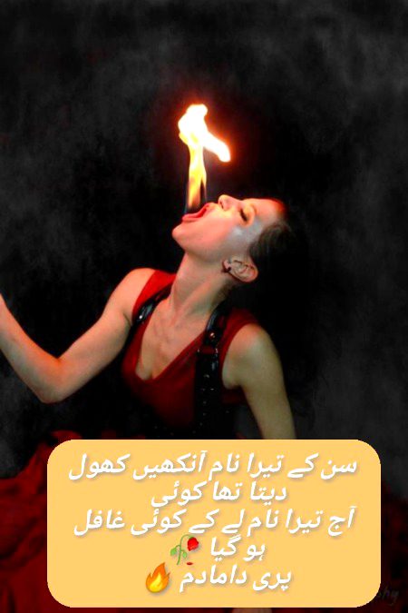 Urdu poetry