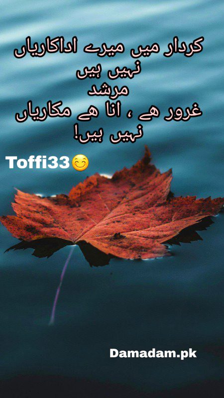 Urdu poetry
