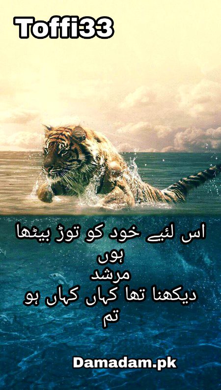 Urdu poetry