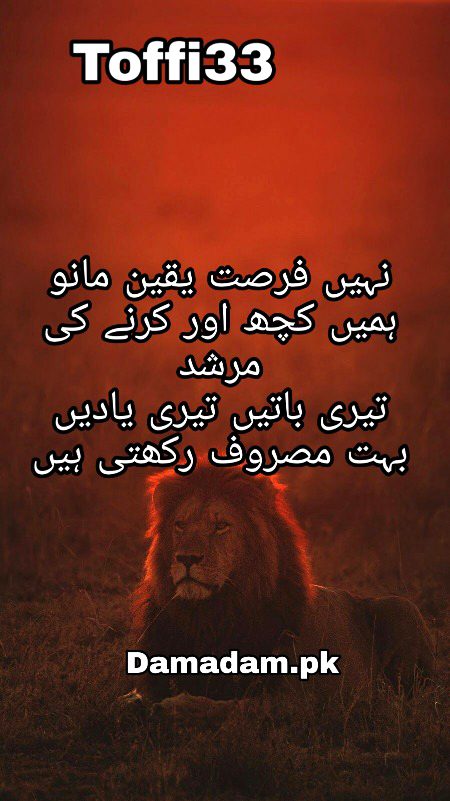 Urdu poetry