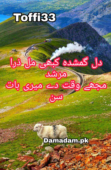 Urdu poetry