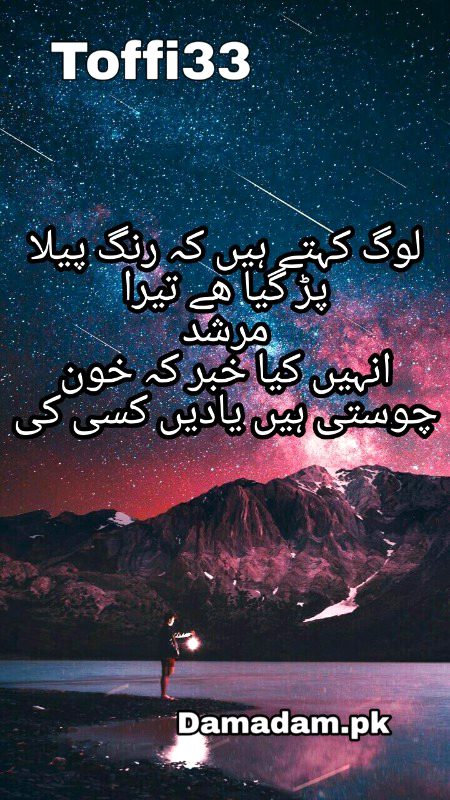 Urdu poetry