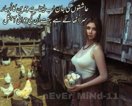 Urdu poetry