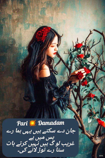 Urdu poetry