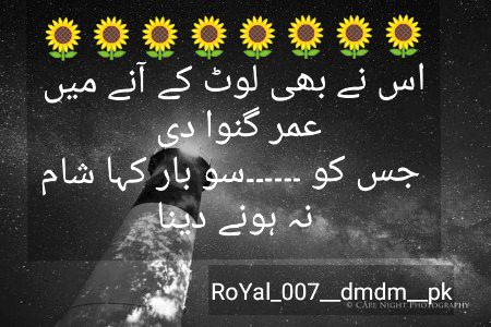 Urdu poetry