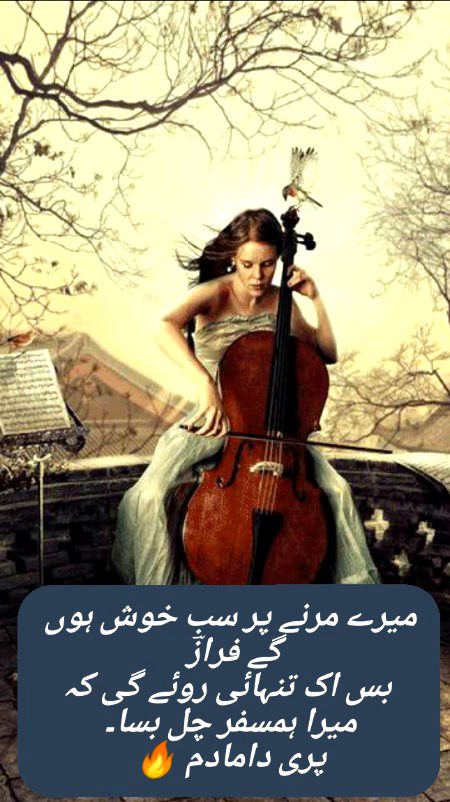 Urdu poetry