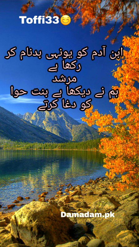 Urdu poetry