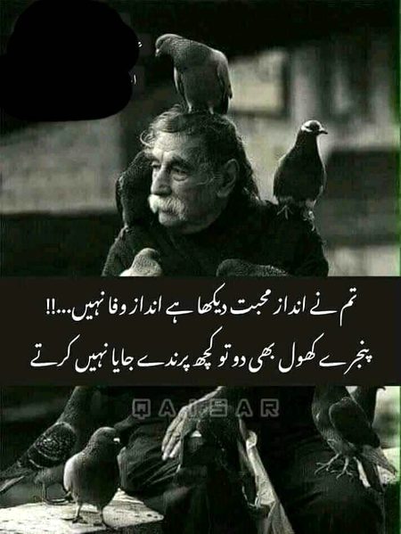 Attitude Poetry image