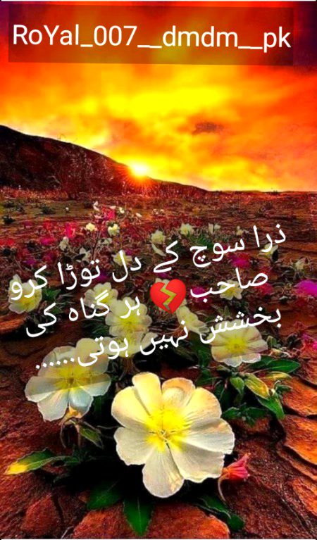 Urdu poetry