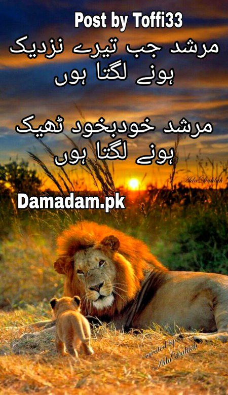 Urdu poetry