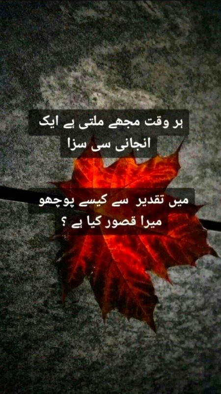 Urdu poetry