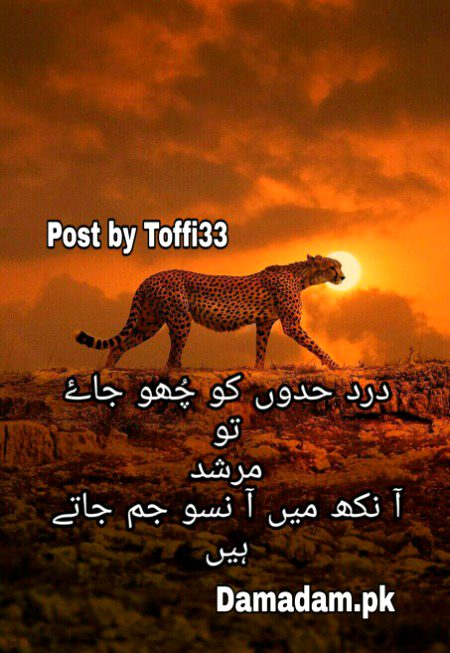Urdu poetry