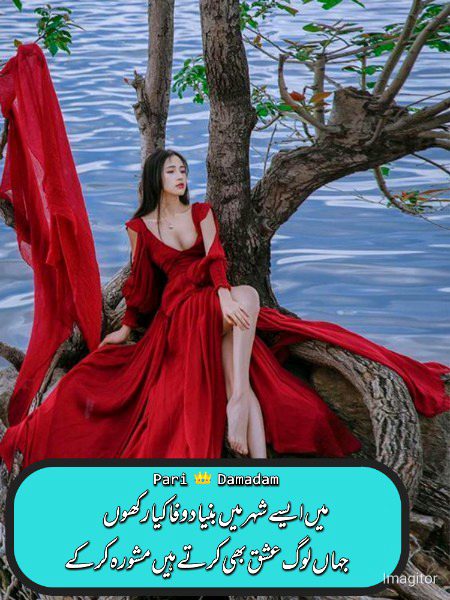 Urdu poetry