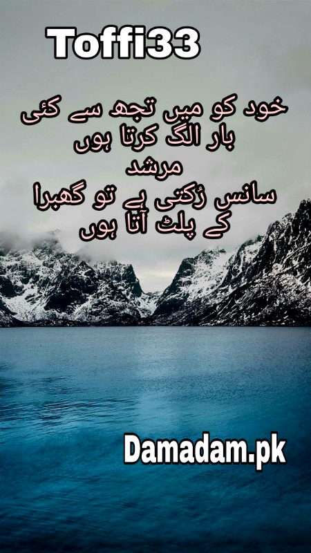 Urdu poetry