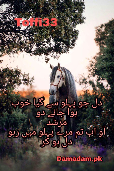Urdu poetry
