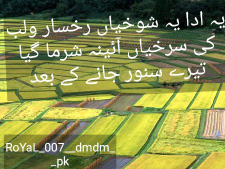 Urdu poetry