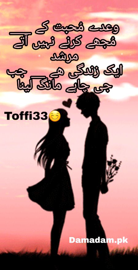 Urdu poetry