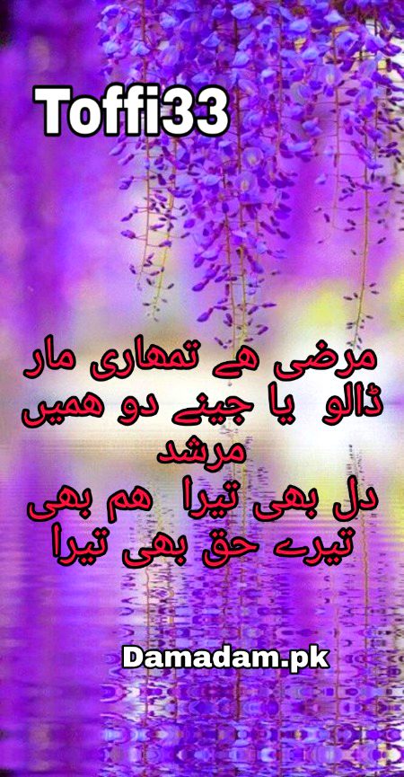 Urdu poetry