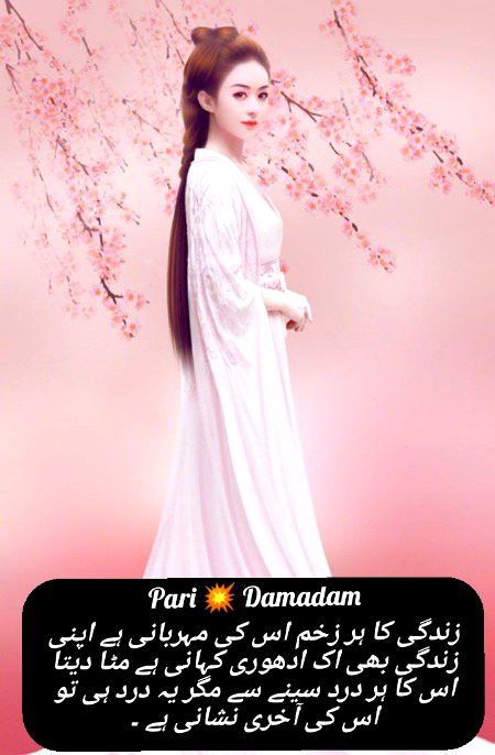 Urdu poetry