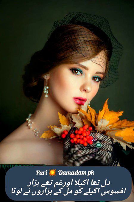 Urdu poetry