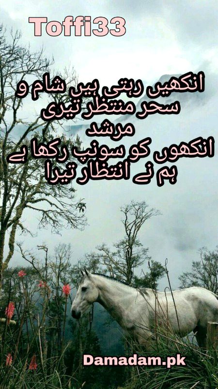 Urdu poetry