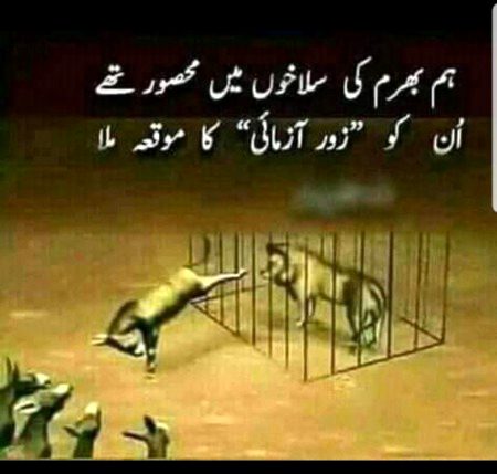 Urdu poetry