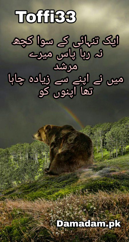 Urdu poetry