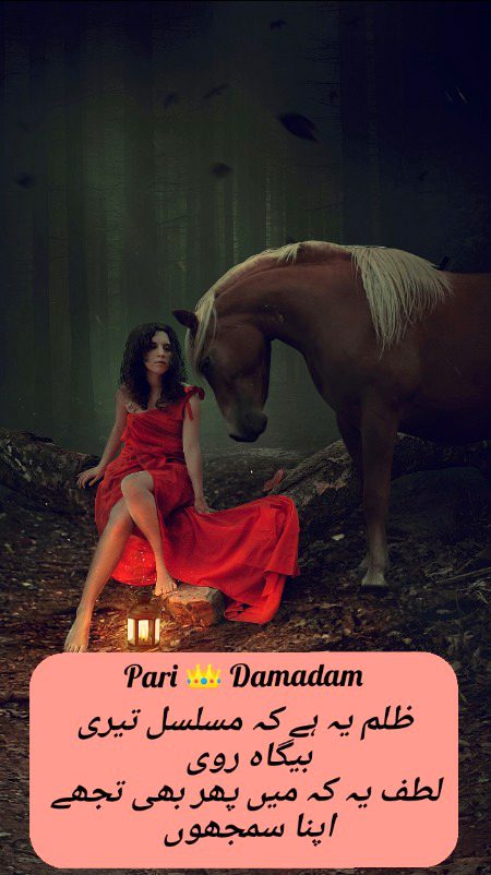 Urdu poetry