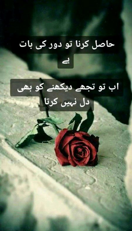 Urdu poetry
