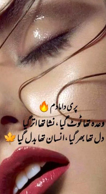 Urdu poetry