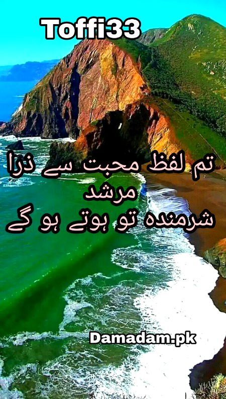 Urdu poetry