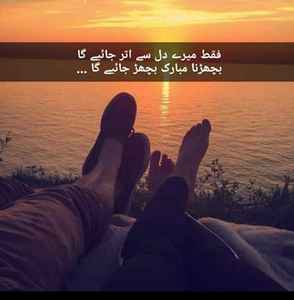 pic loading ...