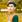 Muhammad_Umair_hi